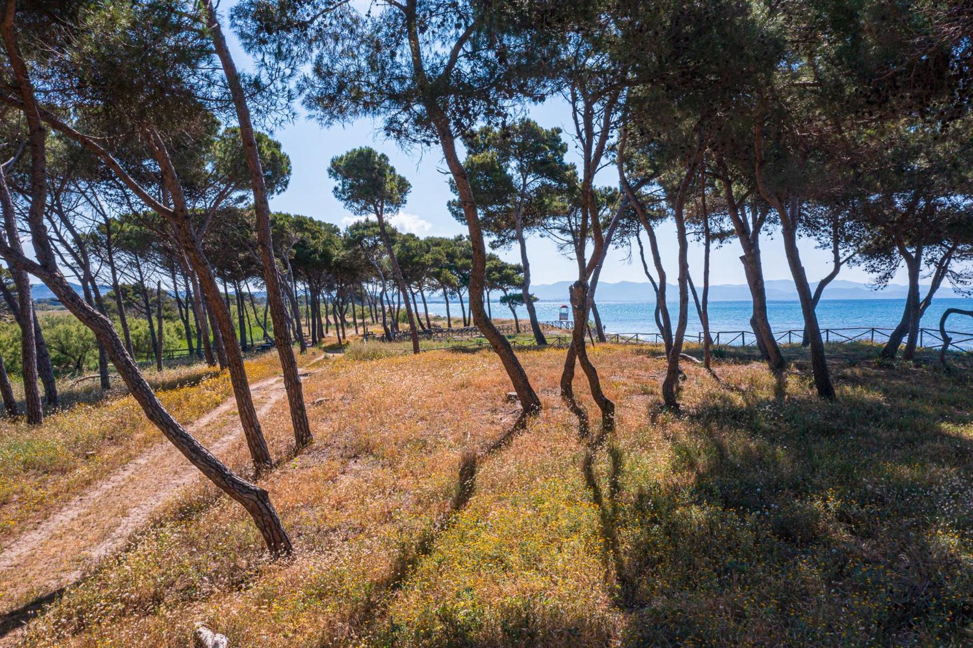 Villaggio Orizzonte Riotorto Luaran gambar